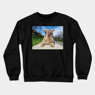 Morning cat Crewneck Sweatshirt